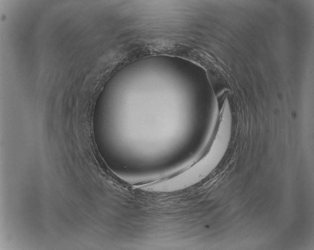 X0000069831345200606021326