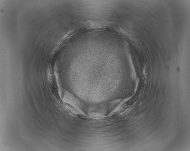 X0000069831348200606021326