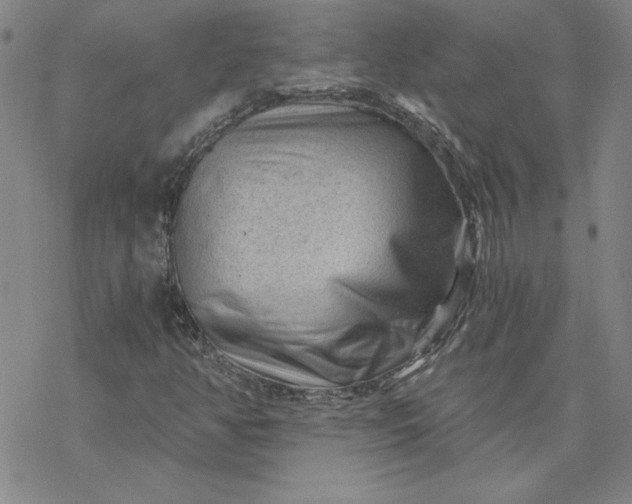 X0000069831350200606021326