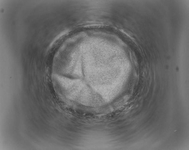 X0000069831351200606021326