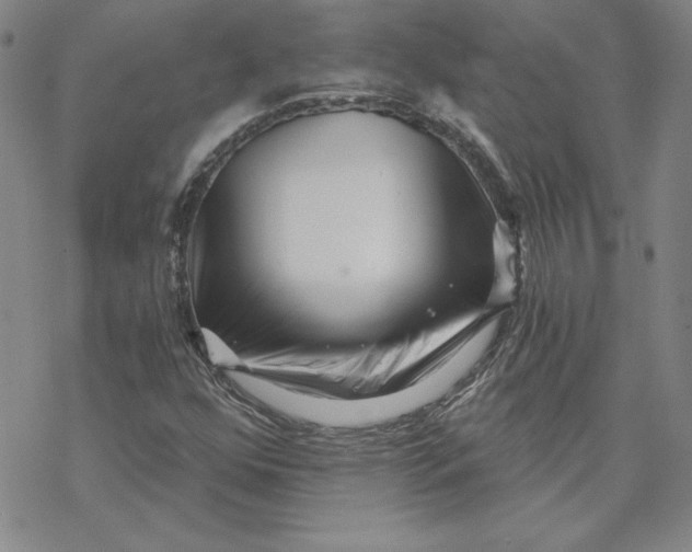 X0000069831352200606021326