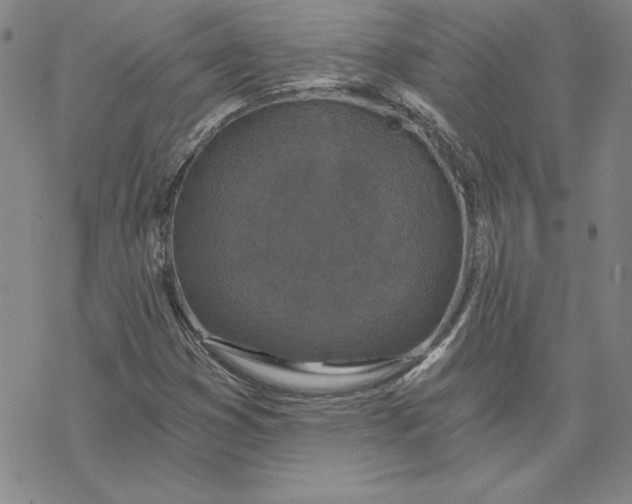 X0000069831353200606021326