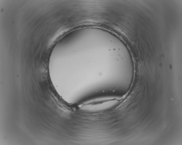 X0000069831355200606021326