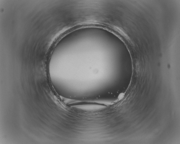 X0000069831356200606021326