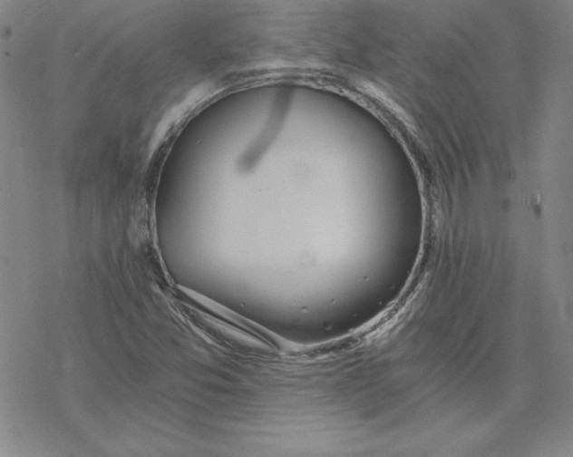 X0000069831357200606021326