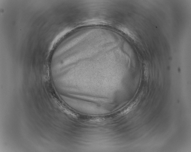 X0000069831358200606021326