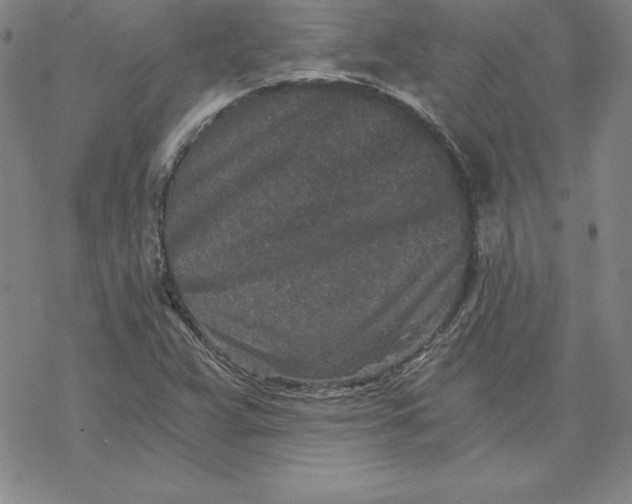 X0000069831359200606021326