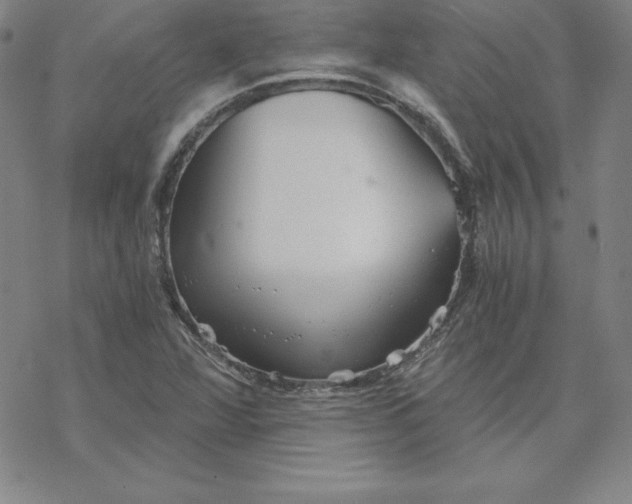 X0000069831360200606021326