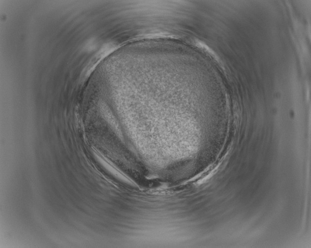 X0000069831361200606021326