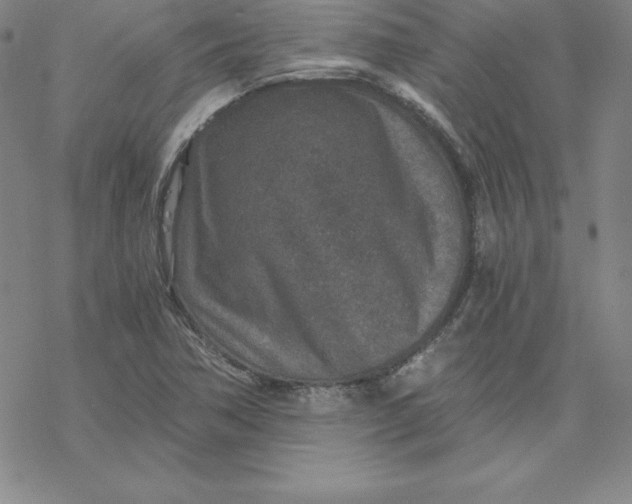 X0000069831362200606021326