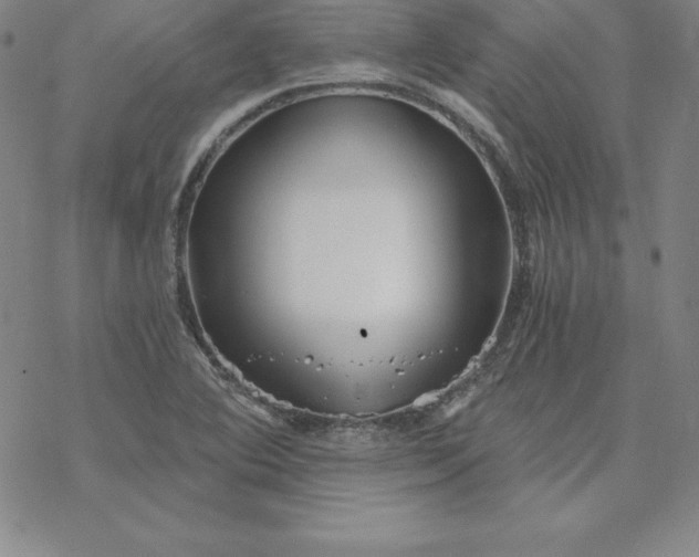 X0000069831364200606021326