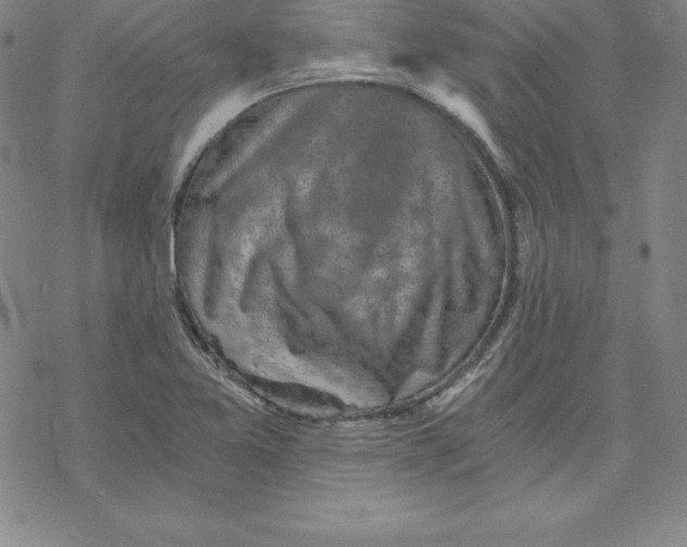 X0000069831365200606021326