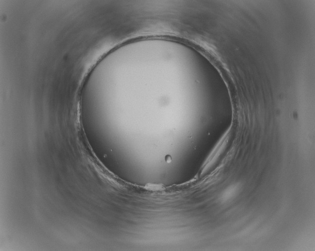 X0000069831366200606021326