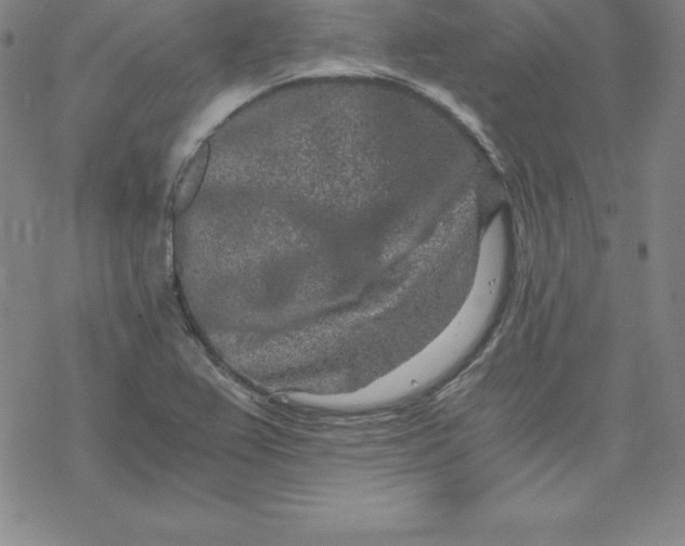 X0000069831367200606021326