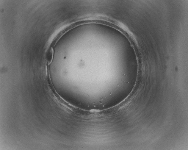 X0000069831368200606021326