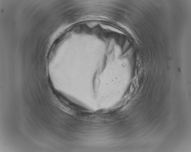 X0000069831371200606021326