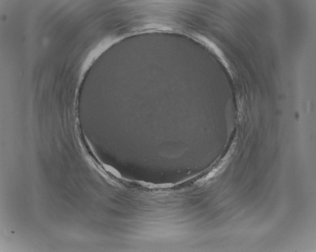 X0000069831373200606021326