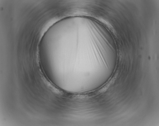 X0000069831374200606021326