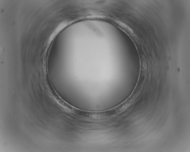 X0000069831375200606021326