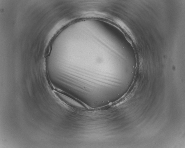 X0000069831376200606021326