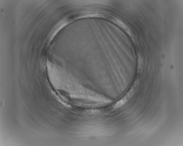 X0000069831377200606021326