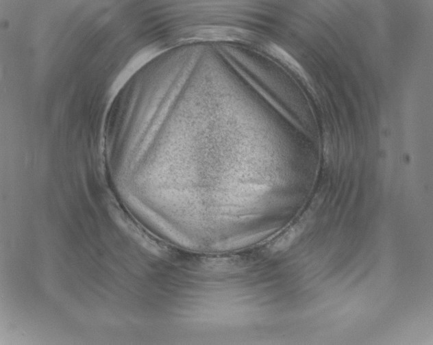 X0000069831378200606021326