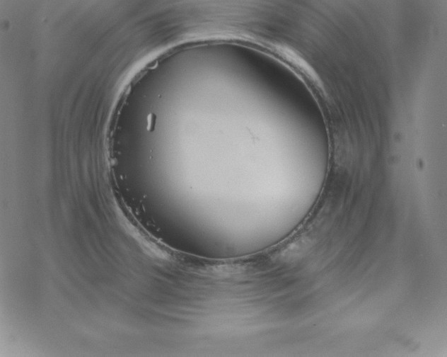 X0000069831380200606021326