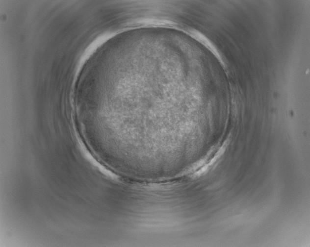 X0000069831381200606021326