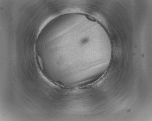 X0000069831382200606021326