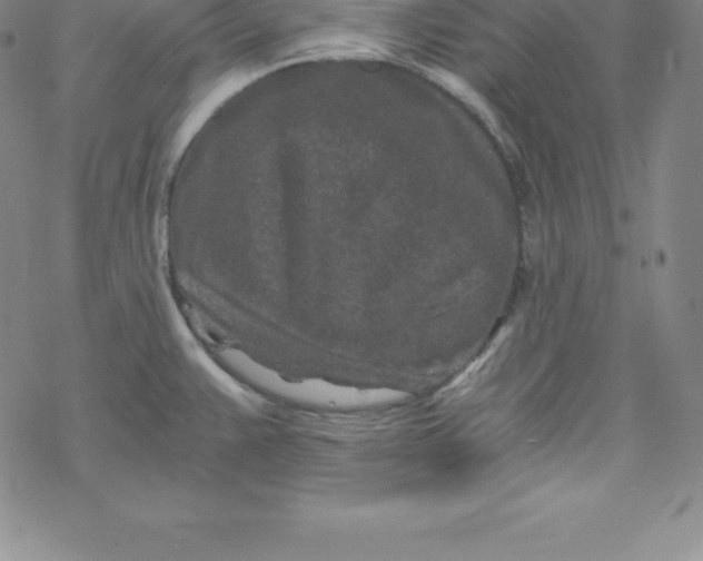 X0000069831383200606021326