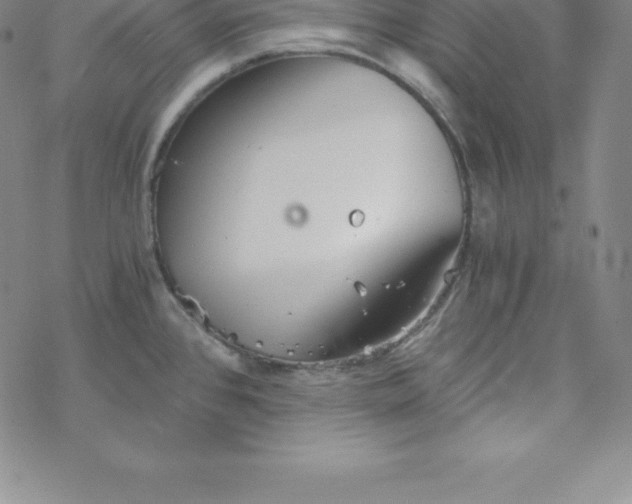 X0000069831384200606021325