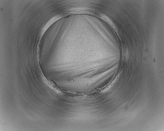 X0000069831386200606021325