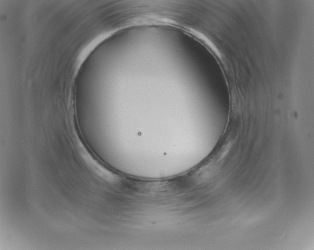 X0000069831387200606021325