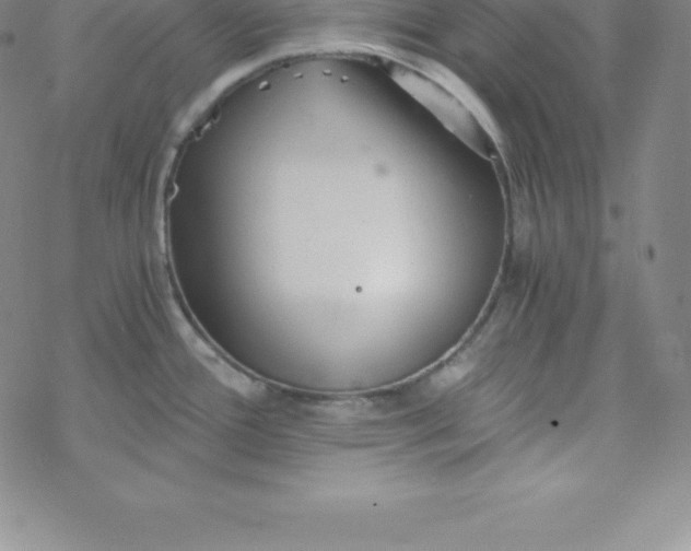 X0000069831388200606021325