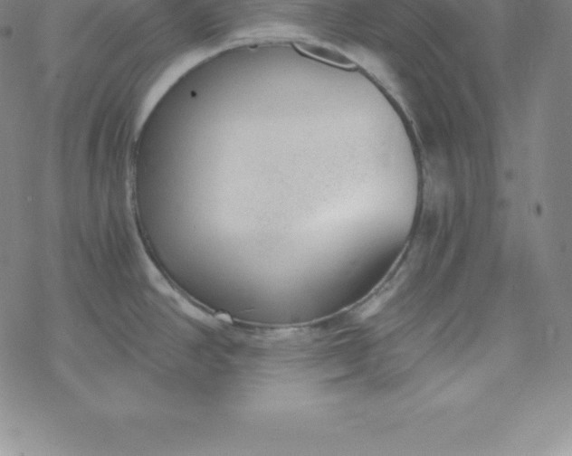 X0000069831390200606021325