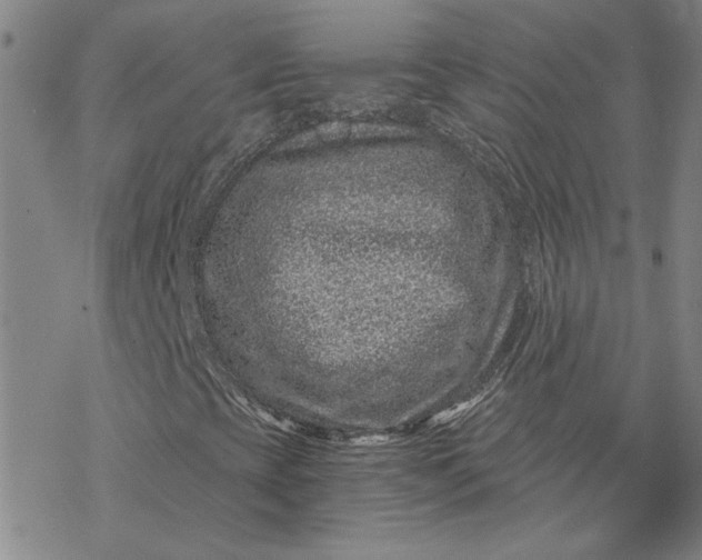 X0000069831393200606021325