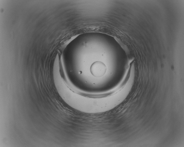 X0000069831394200606021325