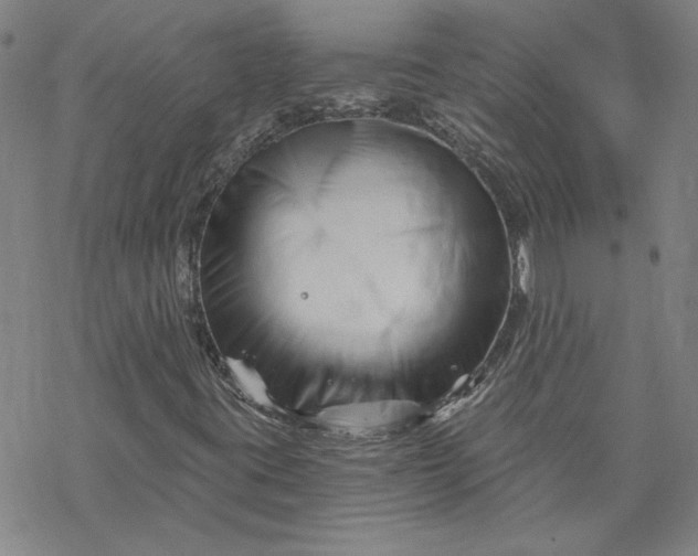 X0000069831395200606021325