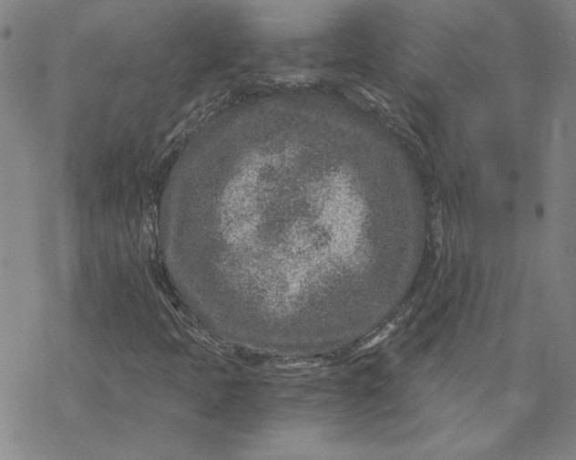 X0000069831397200606021325