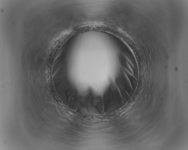 X0000069831398200606021325