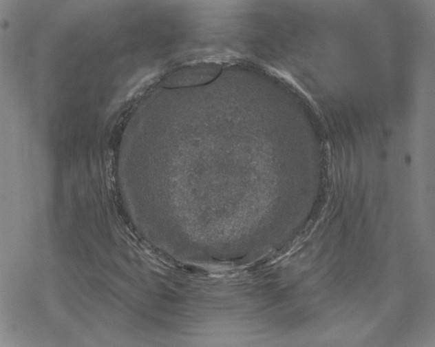 X0000069831399200606021325