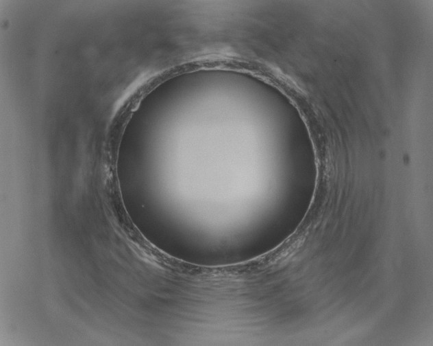 X0000069831400200606021325