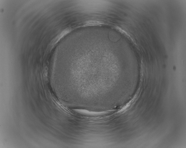 X0000069831401200606021325