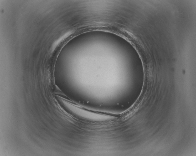 X0000069831402200606021325