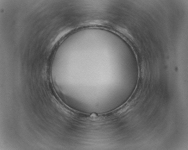 X0000069831404200606021325