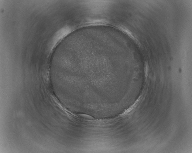 X0000069831405200606021325