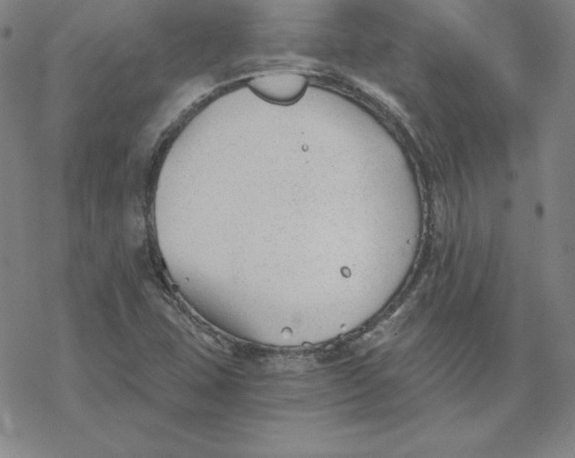 X0000069831407200606021325