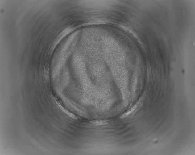 X0000069831409200606021325