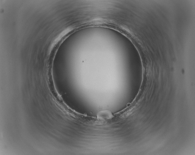 X0000069831410200606021325