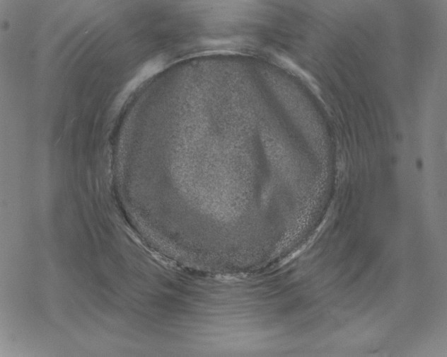 X0000069831411200606021325